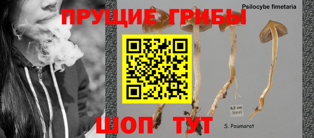 Галлюциногенные грибы мицелий Белгород