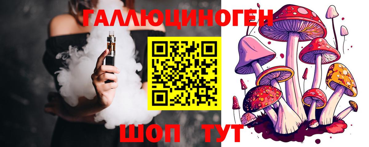 Белгород  Псилоцибиновые грибы Cubensis  Вход с VPN 